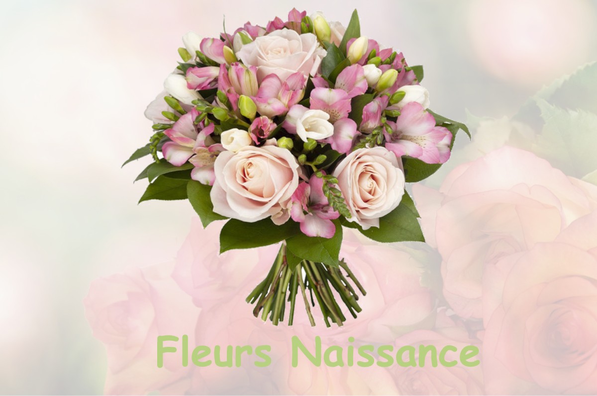 fleurs naissance DOAZIT